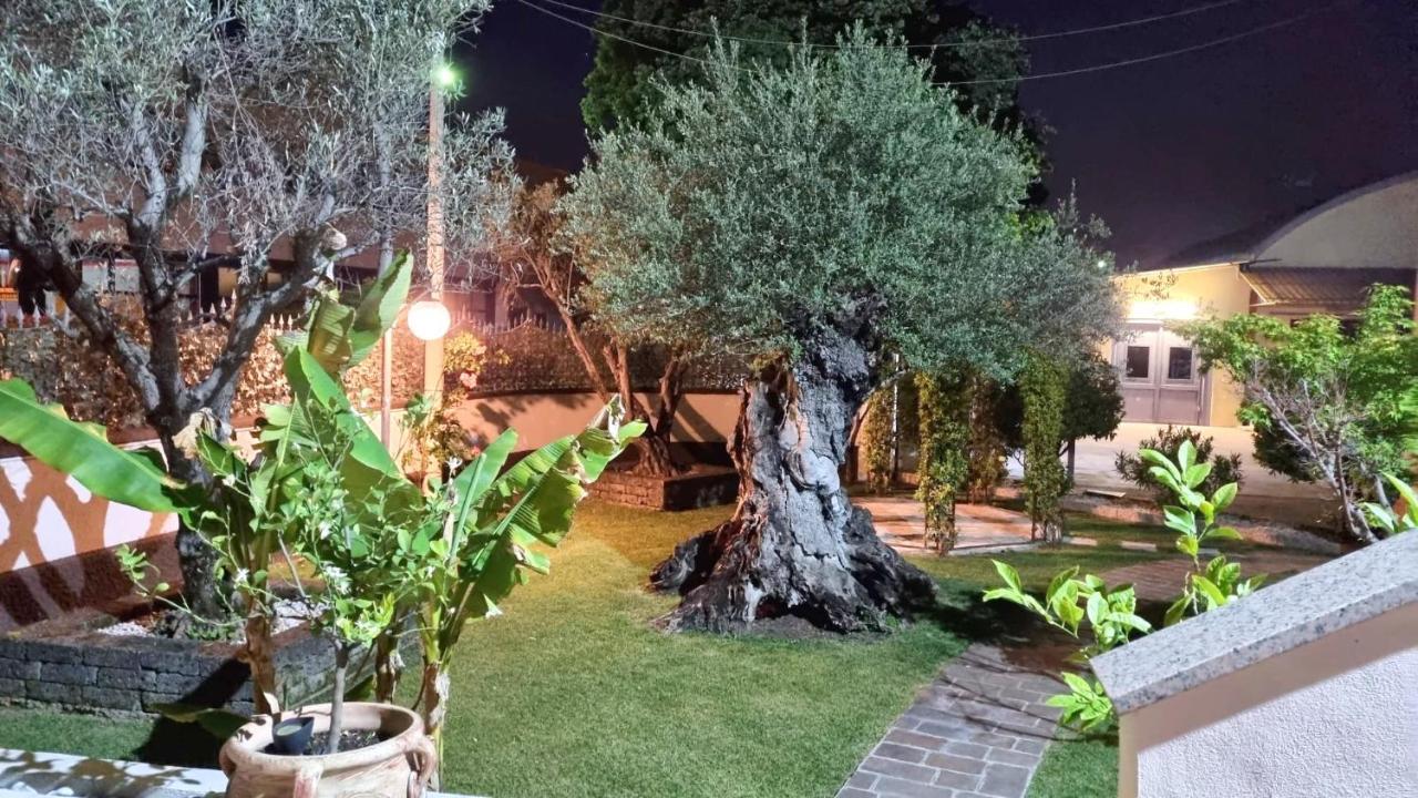 Fontana Oasis Apartments Кастелнуово дел Гарда Екстериор снимка